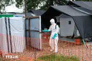 Dịch Ebola: Chính quyền Mỹ chuẩn bị khu cách ly cho công dân tại Kenya