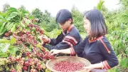 Diễn đàn Di sản Cà-phê Đắk Lắk: Nâng tầm giá trị và hướng tới UNESCO