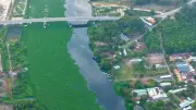 Dòng sông Vàm Cỏ Đông 'hấp hối' vì ô nhiễm: Cá chết trắng, người dân khốn đốn