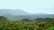 Doanh nghiệp cà phê tăng tốc số hóa chuỗi cung ứng để thích ứng EUDR