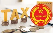 Doanh nghiệp chây ì nợ thuế có thể bị yêu cầu mở thủ tục phá sản