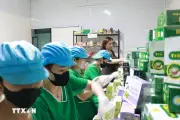 Doanh nghiệp đề xuất tháo gỡ vướng mắc để phát triển dược cổ truyền
