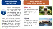 Drift Travel: Việt Nam là điểm đến lý tưởng cho hành trình du lịch dài ngày