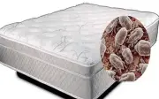 Dấu hiệu sức khỏe cảnh báo bạn cần thay nệm mới