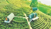 Du lịch Cao Bằng chuyển mình mạnh mẽ nhờ nâng cao chất lượng dịch vụ và bản sắc văn hóa