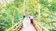 Du lịch chậm lên ngôi: Hội An dẫn đầu châu Á, Việt Nam chuyển mình