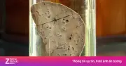 Du lịch ăn cá sống, hai người đàn ông nhiễm sán lá gan