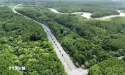 Du lịch Việt Nam hướng tới tương lai cùng khu vực châu Á - Thái Bình Dương