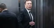 Elon Musk thừa nhận xAI học hỏi từ OpenAI trong phiên tòa