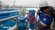 EU nhập khẩu lượng khí đốt kỷ lục từ Nga