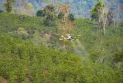 FPT đề xuất dùng UAV phát triển kinh tế tầm thấp tại Điện Biên