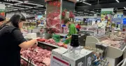 Giá heo hơi hôm nay tăng mạnh, miền Bắc dẫn đầu đà tăng