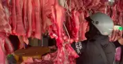Giá heo hơi đi ngang trong kỳ nghỉ lễ, thịt bán lẻ ổn định