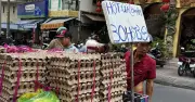 Giá trứng gà tại TP.HCM rẻ chưa từng thấy, người chăn nuôi thua lỗ nặng