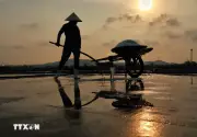 Giữ vị mặn giữa nắng gió miền Trung