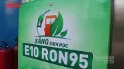 Giá xăng sinh học E10 cao nhất không quá 25.120 đồng/lít