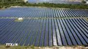 Gia Lai sắp có thêm nhà máy điện mặt trời 50MW