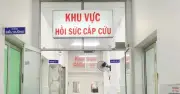 Giữa đêm rắn độc bò vào giường cắn bé trai đang ngủ nguy kịch