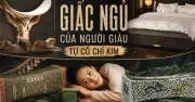 Giấc ngủ triệu đô: Từ lịch sử ngủ hai pha đến khoa học đằng sau chiếc đệm 16 tỷ