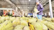 Giải pháp tháo gỡ điểm nghẽn cho ngành hàng sầu riêng xuất khẩu