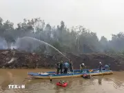 Gần 300 cán bộ chiến sỹ tham gia khống chế vụ cháy lõi thực bì trong rừng tràm