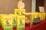Gạo Việt Nam mở rộng thị trường Nhật Bản nhờ chất lượng và giá cạnh tranh