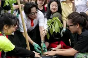 Hà Anh Tuấn cùng dàn sao lội bùn trồng rừng ở Vân Long