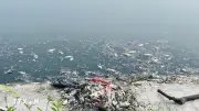 Hồ CV1 Hà Nội: Cá chết hàng loạt, mùi hôi bốc lên nồng nặc