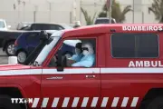 Hà Lan xác nhận thêm 1 ca nhiễm virus Hanta liên quan tàu MV Hondius