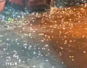 Hà Nội bất ngờ xuất hiện mưa đá kèm dông lốc gió giật mạnh