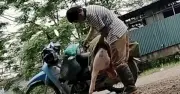 Hà Nội đình chỉ 3 cán bộ thú y vì sai phạm kiểm soát giết mổ