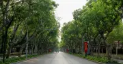 Hà Nội sáng 1/5 vắng lặng đến lạ, đường phố thông thoáng hiếm thấy