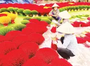 Hà Nội thêm hai làng nghề được vinh danh quốc tế, khẳng định vị thế du lịch văn hóa