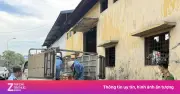 Hà Nội: Tiêu hủy 1,2 tấn thực phẩm nhập lậu, phạt chủ cơ sở 12 triệu
