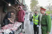 Hà Nội tăng cường xử lý chó thả rông và ùn tắc giao thông