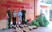 Hà Nội triệt phá đường dây tàng trữ, mua bán hơn 240kg ngà voi và gần 70.000 bao thuốc lá lậu