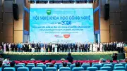 Hội nghị khoa học, King's College Wimbledon và Violympic 2025-2026
