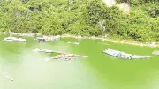 Hội nghị thủy sản phía bắc: Định hướng phát triển hồ chứa bền vững