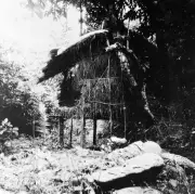 Hội nghị Trung ương 8 (5/1941): Quyết sách chiến lược thay đổi vận mệnh dân tộc