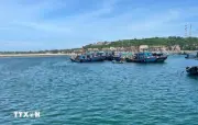 Hải Phòng cứu thành công 9 người gặp nạn trên biển, 2 người mất tích
