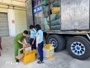 Hải quan phát hiện hàng giả xâm phạm sở hữu trí tuệ tại nhiều cửa khẩu