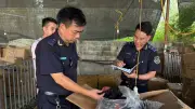 Hải quan phát hiện hàng loạt hàng giả thương hiệu nổi tiếng