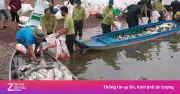 Hơn 100 tấn cá lồng bè tại hồ Trị An chết bất thường sau mưa đầu mùa