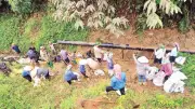Hơn 150 người dân xã Văn Bàn chung tay nạo vét kênh mương cứu lúa giữa hạn hán