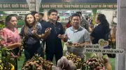 Hơn 300 tấn mận hậu Sơn La đầu mùa đổ bộ TP.HCM, giá giảm 50%