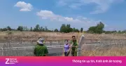 Hơn 700m dây cáp camera trên cao tốc Vĩnh Hảo-Phan Thiết bị cắt trộm