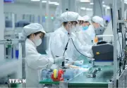 Hàng loạt hoạt động nhân Ngày Khoa học Công nghệ và Đổi mới Sáng tạo năm 2026