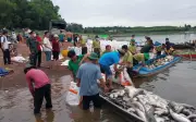 Hàng trăm tấn cá chết trắng hồ Trị An sau mưa lớn, người nuôi trắng tay