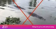 Hình ảnh 2 con cá sấu ở Vĩnh Long là ảnh do AI tạo dựng