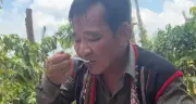 Hình ảnh khó cực của nghệ sĩ Quang Tèo, Khánh Linh thay đổi